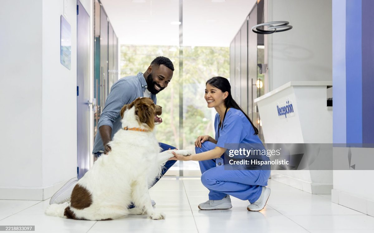 Pet dental health article cover