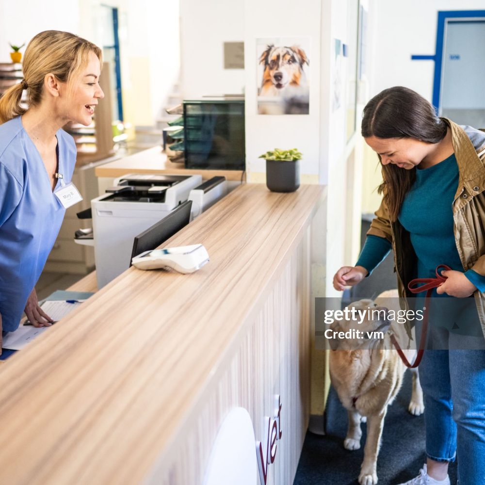 Portrait of the lead veterinarian at Vision Pet Clinic