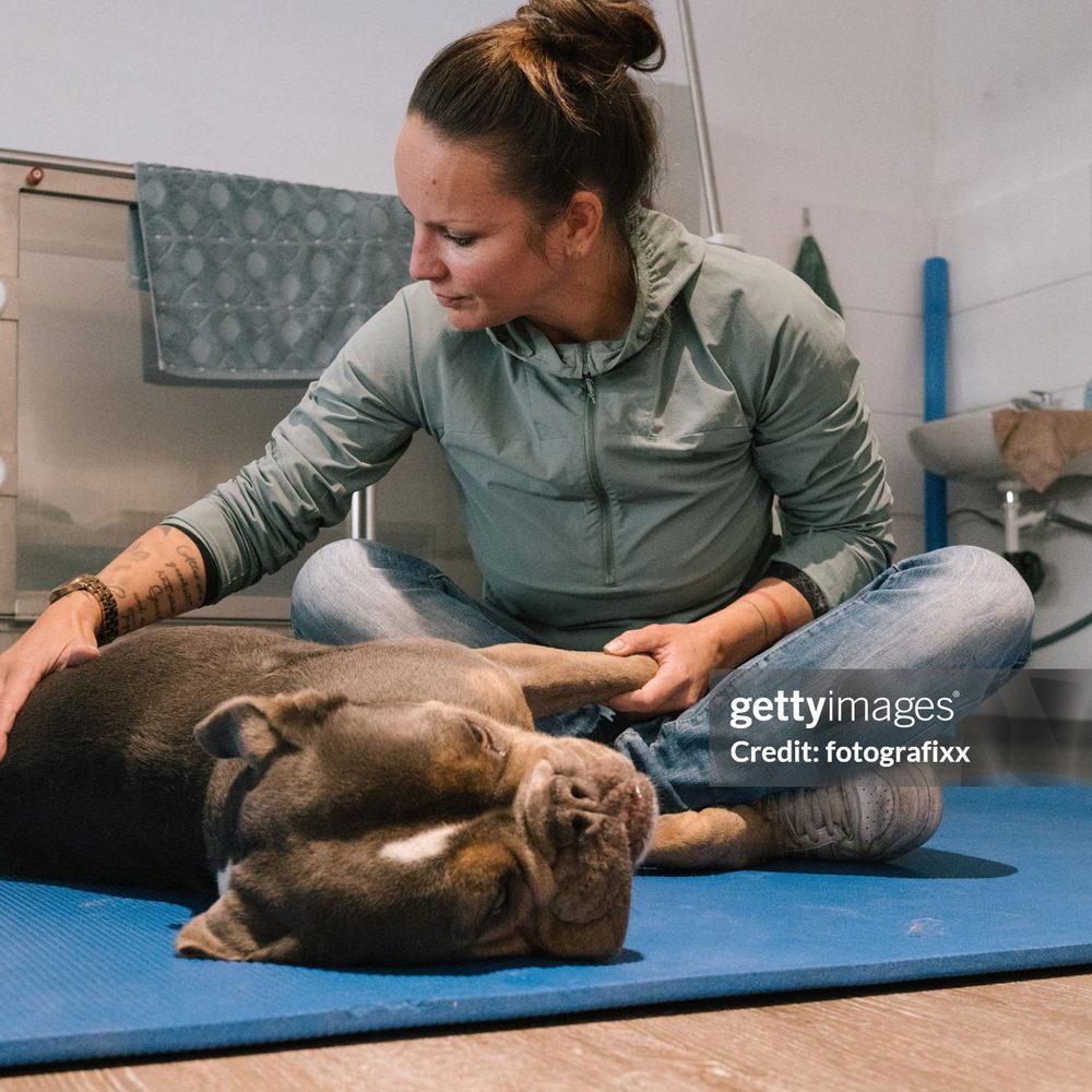 Portrait of the diagnostics and dental veterinarian at Vision Pet Clinic
