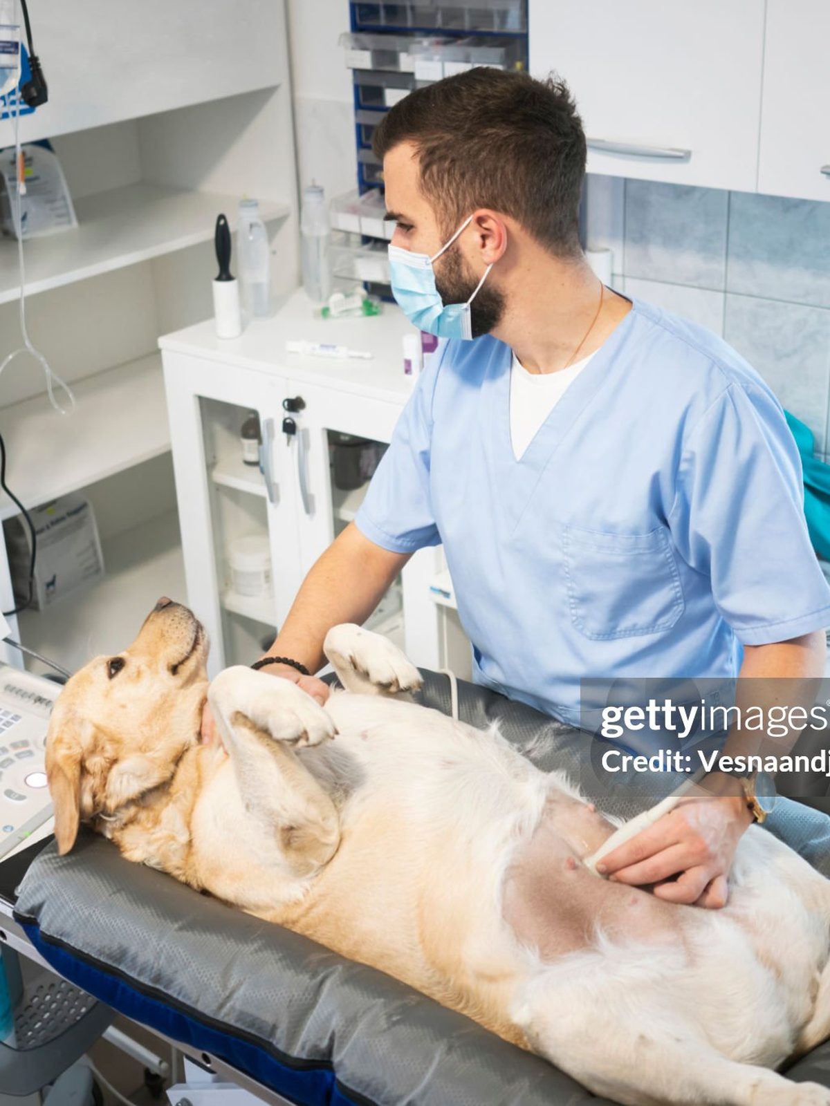 The equipped emergency triage room at Vision Pet Clinic, ready for critical care