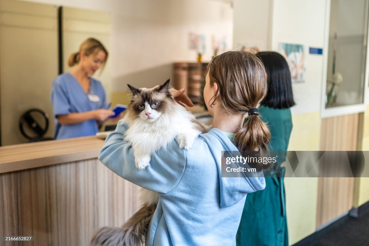 A happy, recovered pet at Vision Pet Clinic