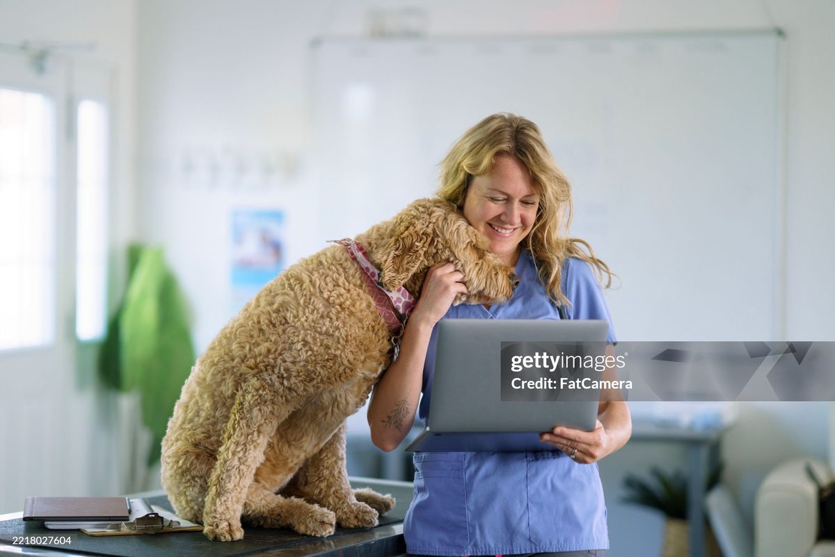 The sterile surgical theatre at Vision Pet Clinic