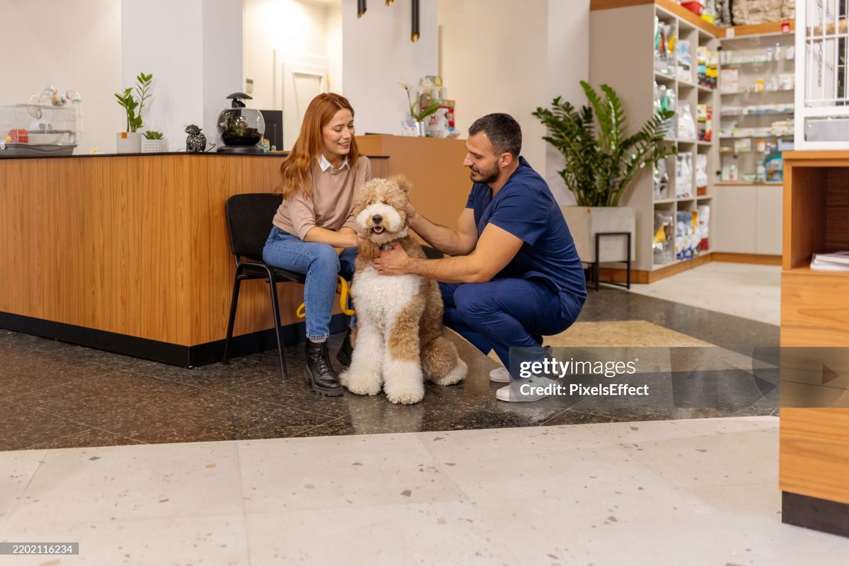 The in-house diagnostic laboratory at Vision Pet Clinic